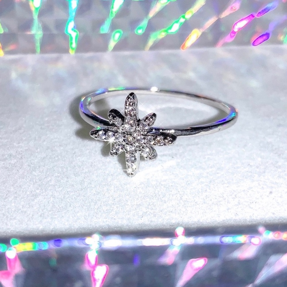 Starburst Titanium and Stainless Steel Ring